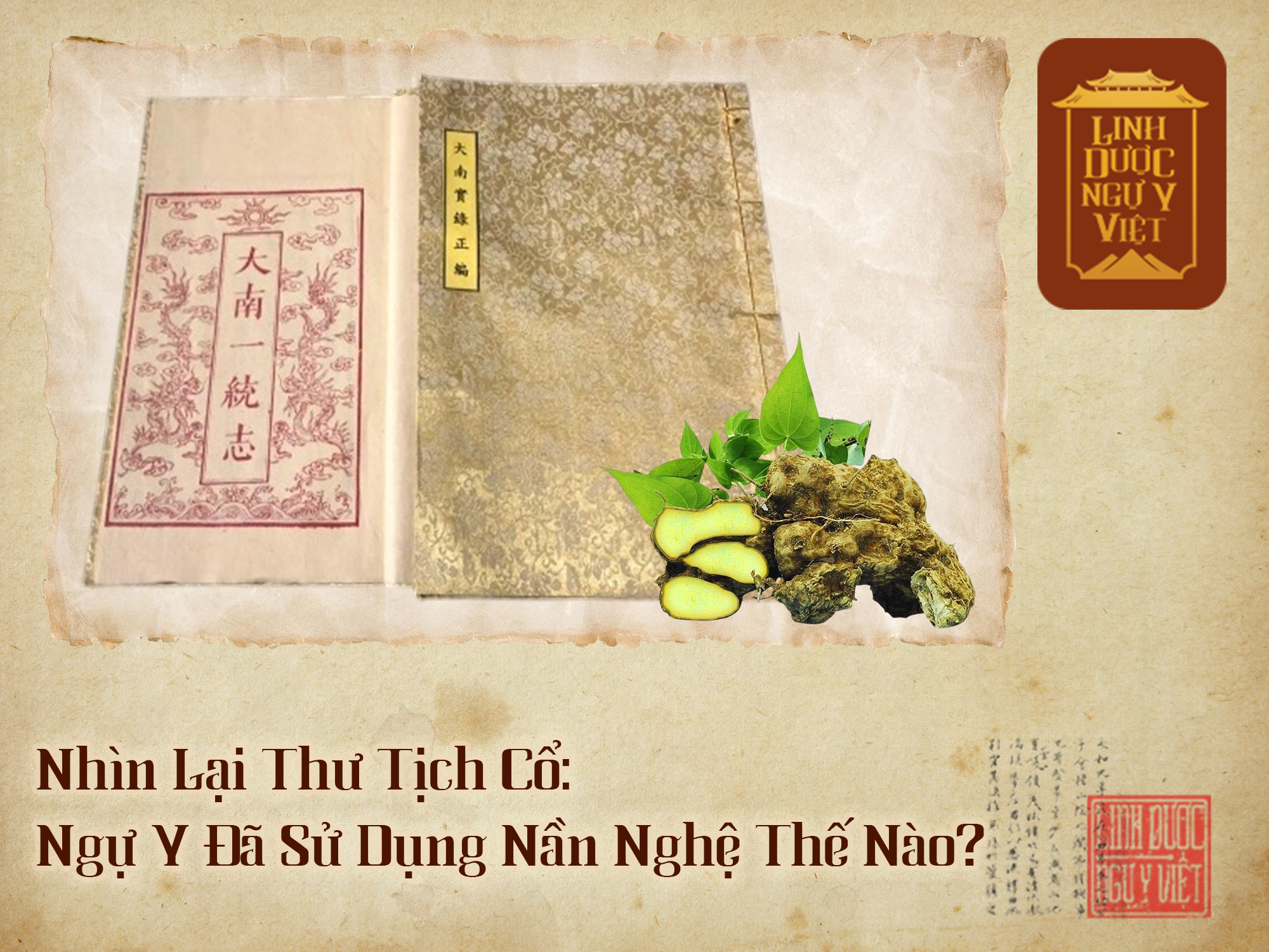 Nhìn Lại Thư Tịch Cổ: Ngự Y Đã Sử Dụng Nần Nghệ Thế Nào?